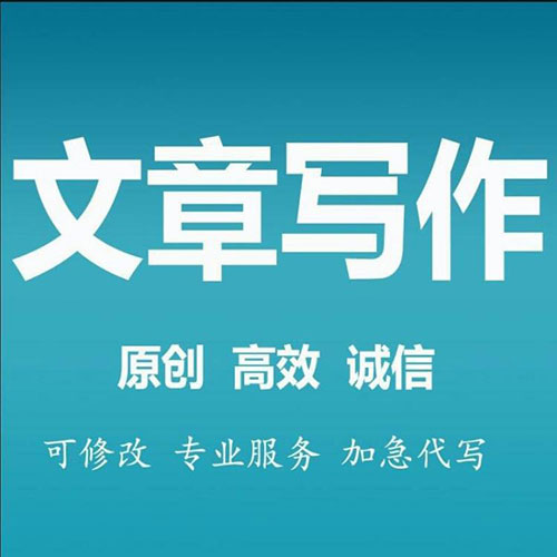 年度總結(jié)代寫